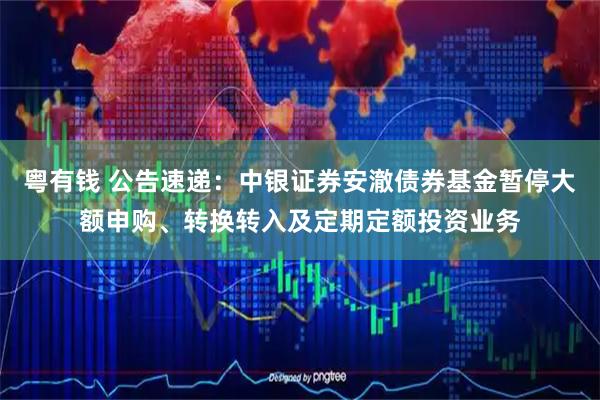粤有钱 公告速递：中银证券安澈债券基金暂停大额申购、转换转入及定期定额投资业务